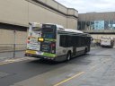 8585-1.JPG