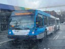 LFS_Artic