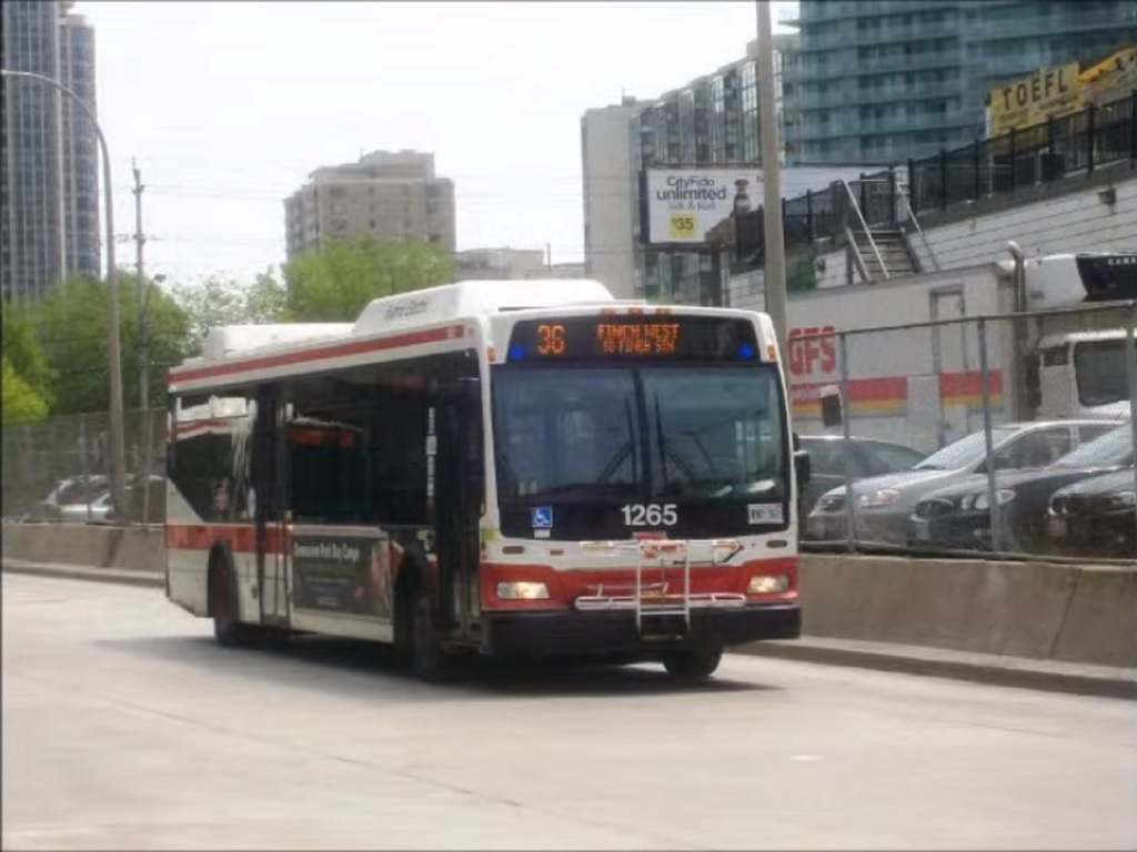 1265.jpg