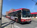1259-3.JPG