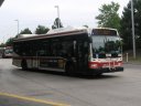 1299-0.JPG