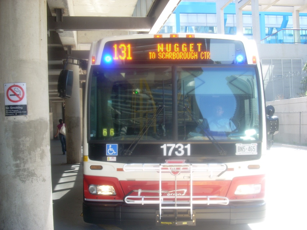 1731.jpg
