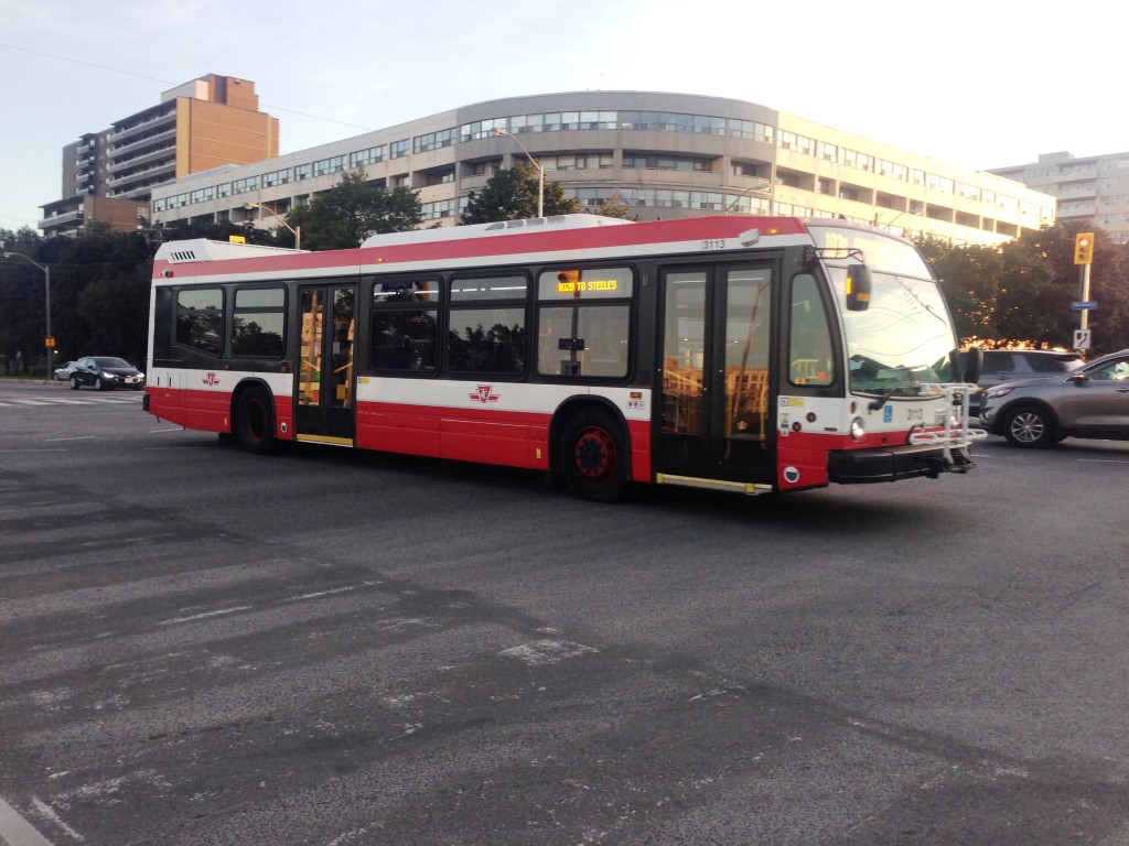 3113-1.JPG