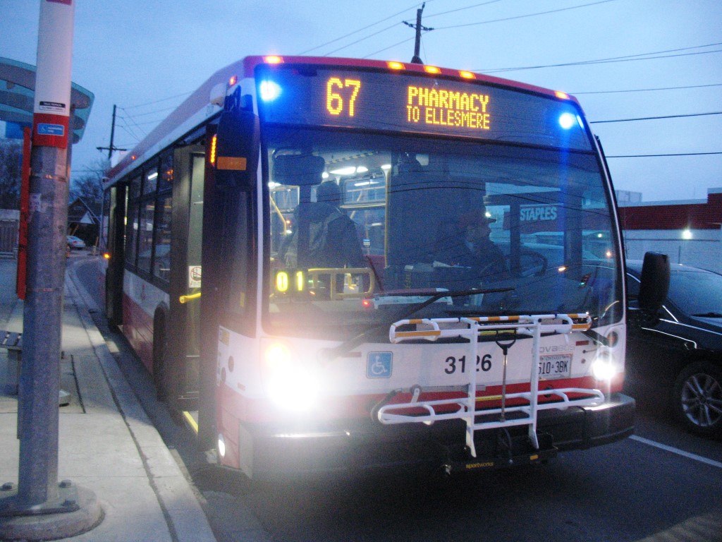 3126.JPG