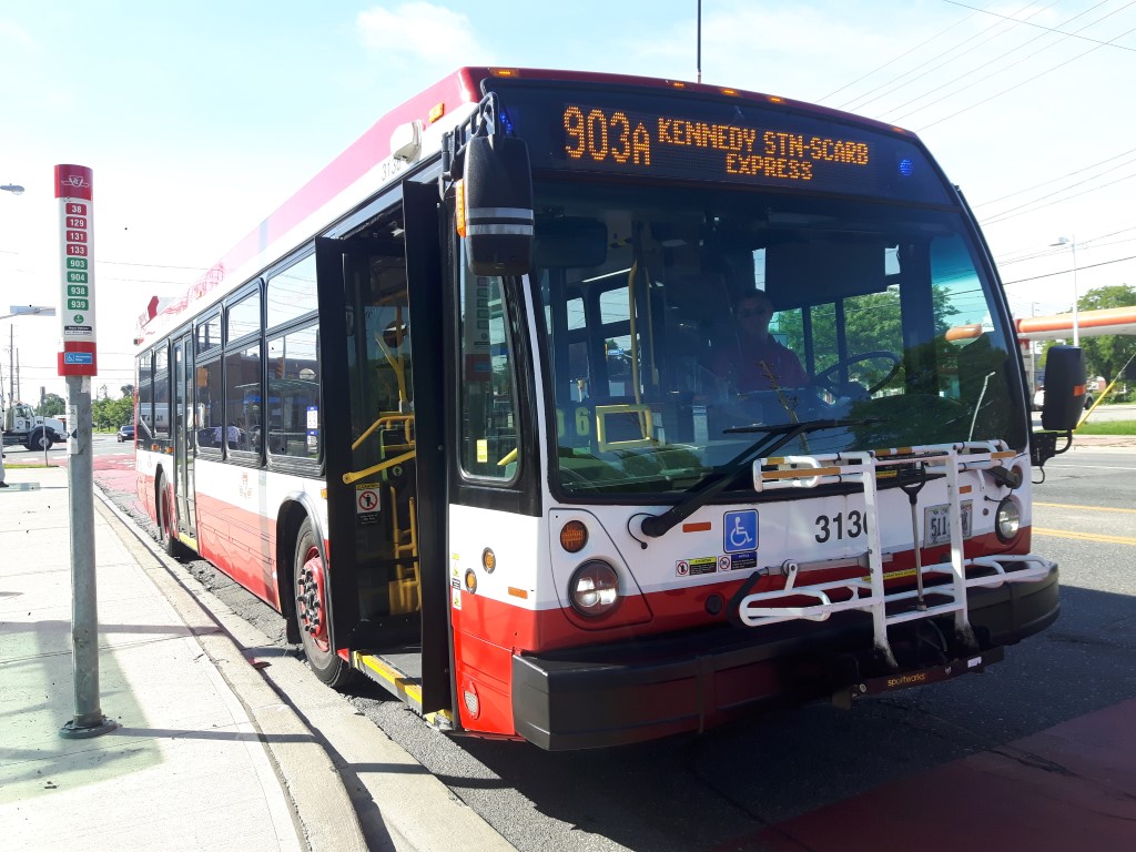 3136.jpg