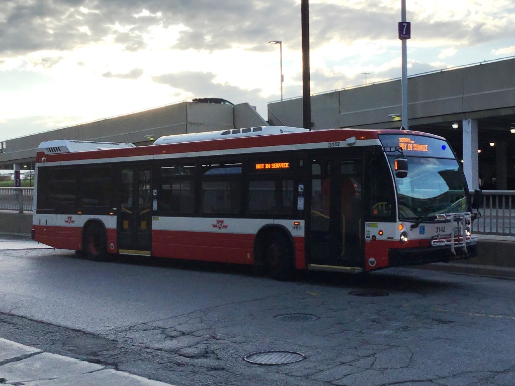 3142.JPG