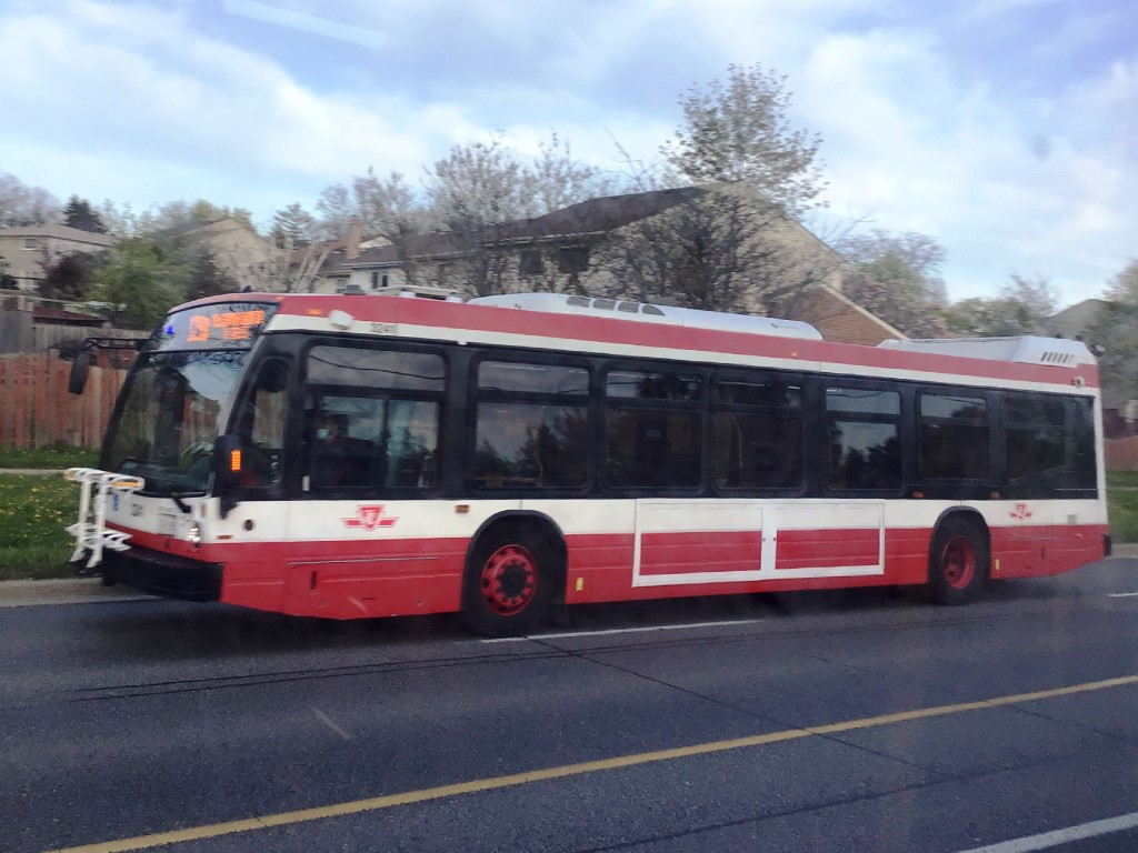 3241.JPG