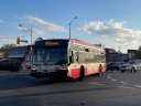 3110-2.JPG