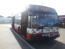 3126-2.jpg