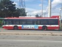 3126-3.jpg