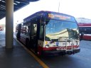 3136-1.jpg