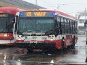 3145-1.JPG