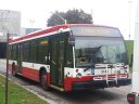 3145-3.jpg