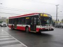 3145.JPG