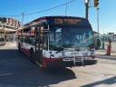 3147-1.JPG