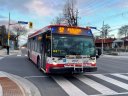 3157-1.JPG