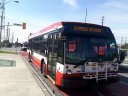 3162-1.jpg