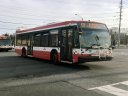 3174.JPG