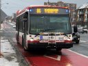 3183-1.JPG