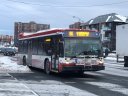 3183.JPG