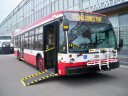 3204.JPG
