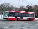 3240.JPG