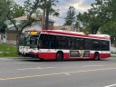 3249-1.JPG