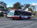 3253-1.JPG