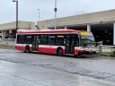 3256.JPG