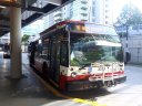 3318-1.jpg
