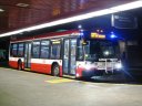 3329.JPG