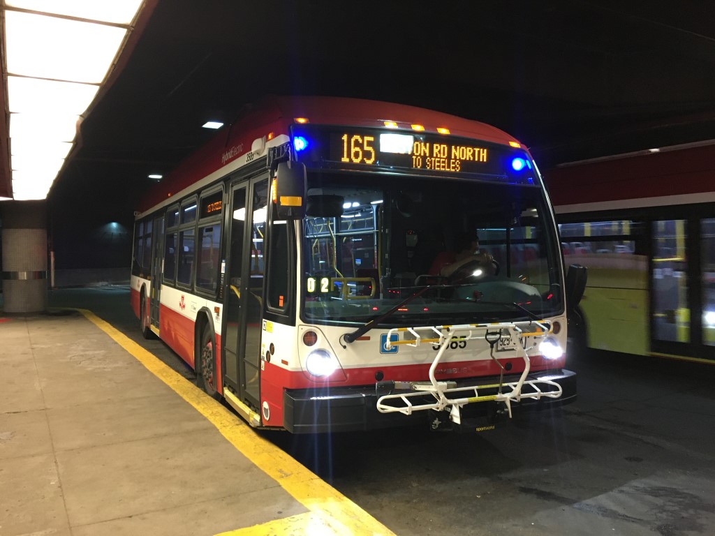 3585.JPG
