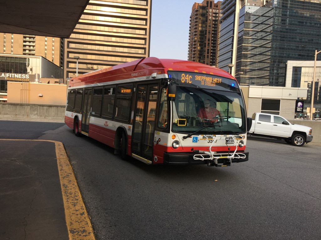 3597.JPG