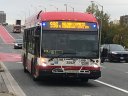 3592.JPG