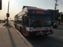 3597-1.JPG