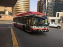 3597.JPG
