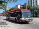 3617-1.JPG