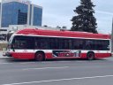3627.JPG