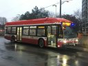3647.JPG