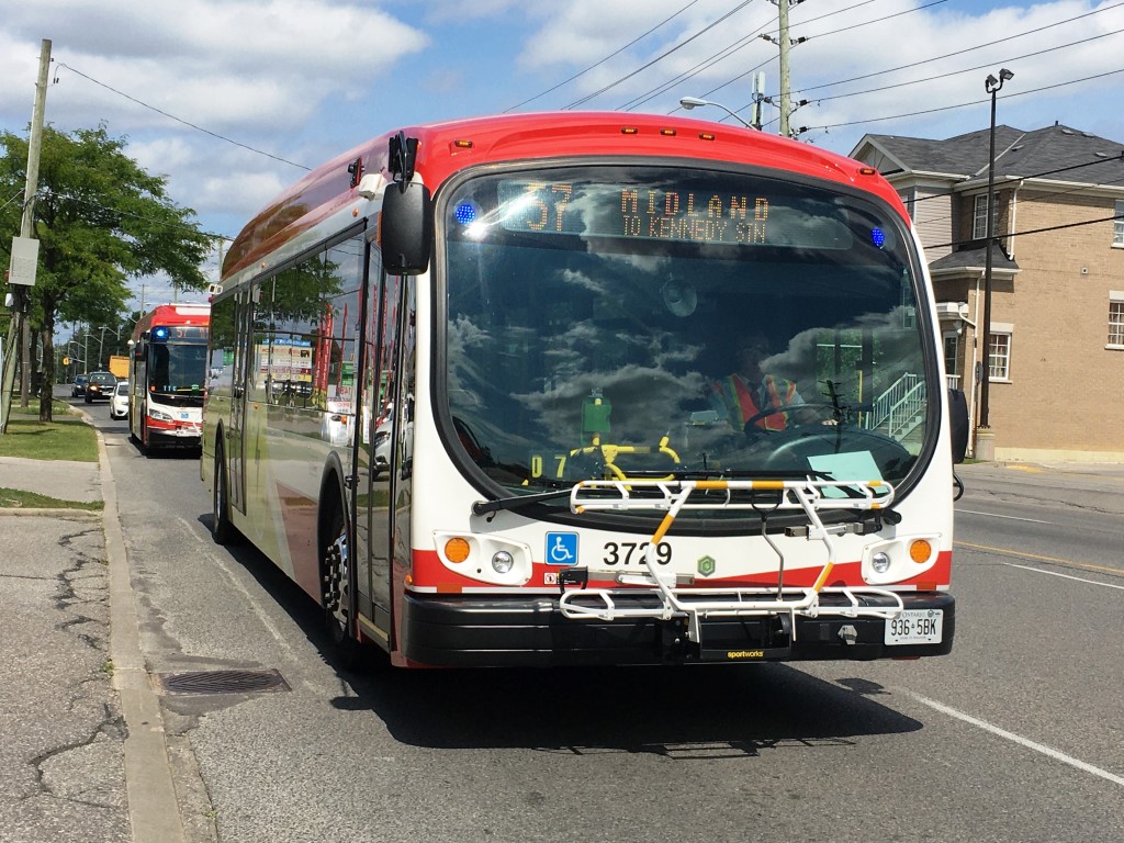 3729.JPG