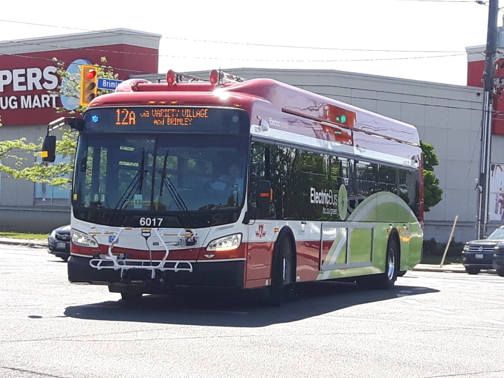 6017.jpg