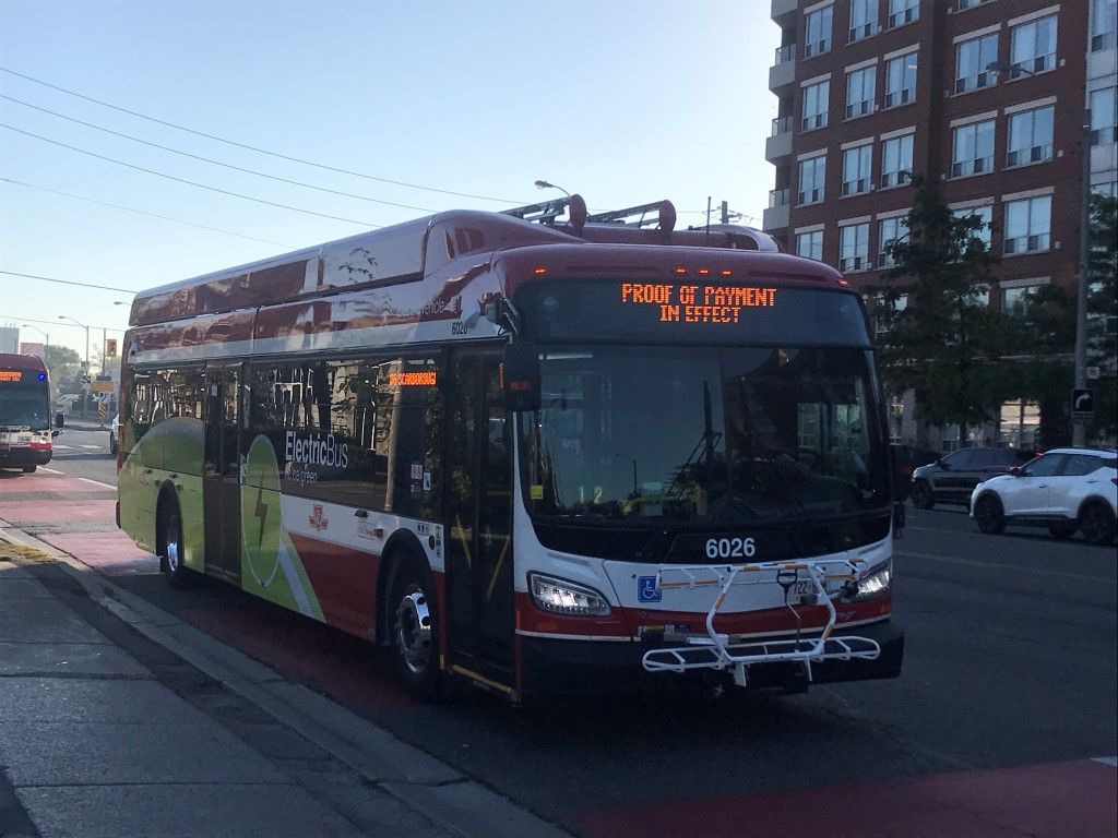 6026.JPG