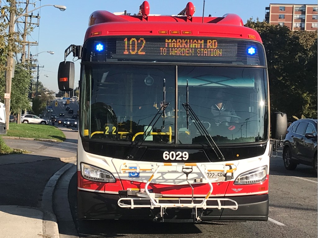 6029.JPG