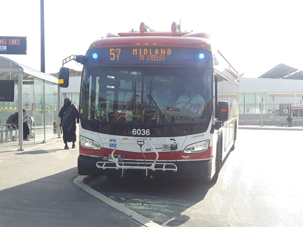 6036-4.jpg