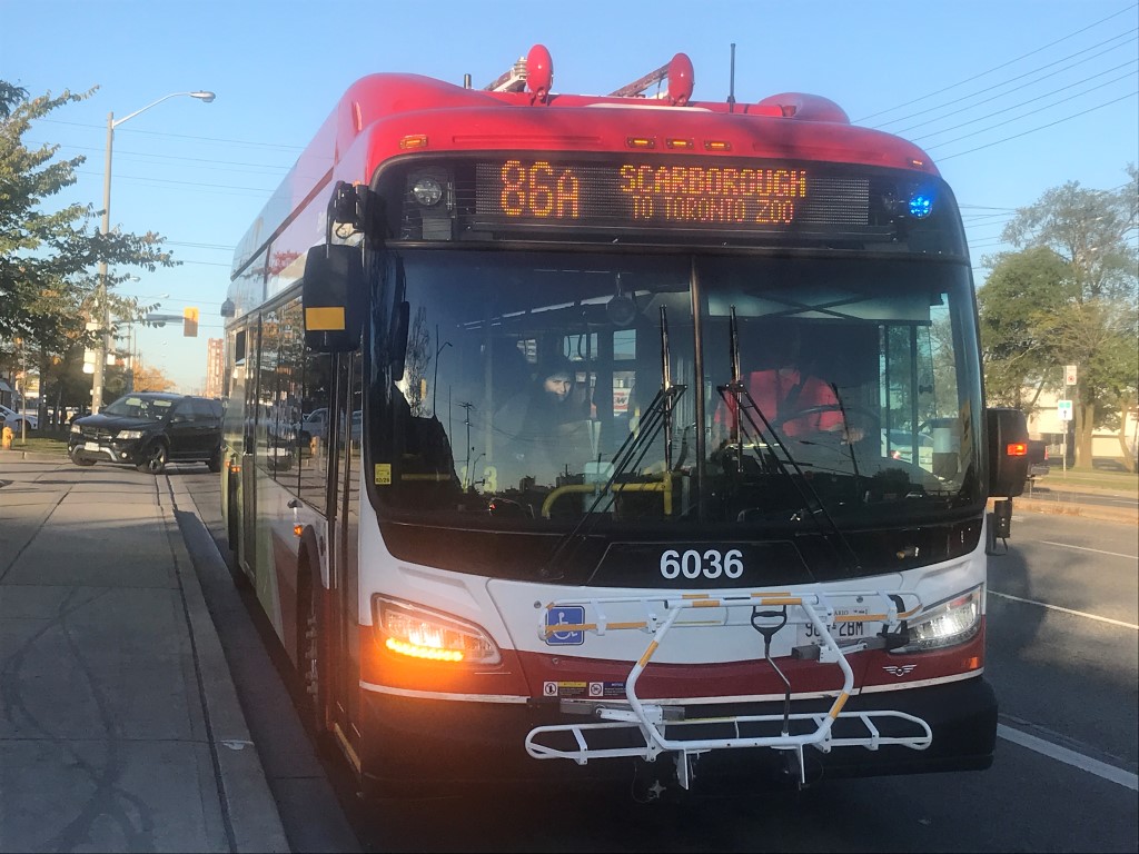 6036.JPG