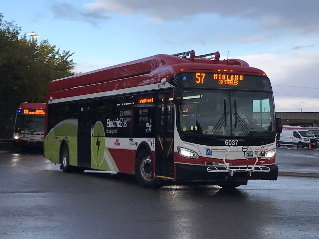 6037.JPG
