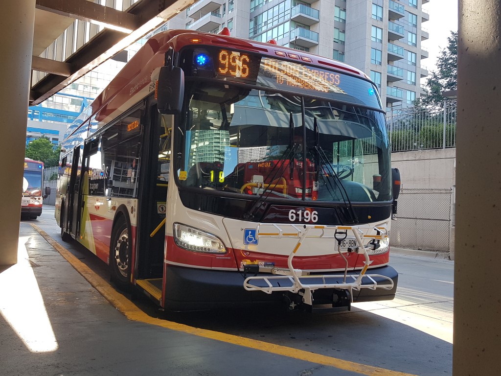 6196.jpg