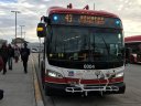 6004.JPG