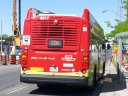 6017-2.jpg