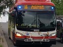 6022-3.jpg